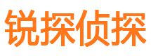 宿城市侦探调查公司